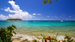 243359-Vieques-Island
